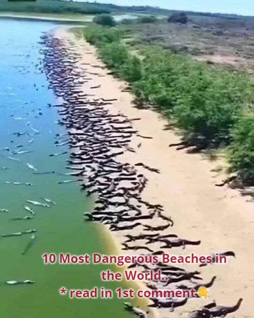 Top 10 Most Dangerous Beaches in the World