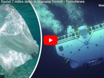 Depressing find at the bottom of the Mariana Trench is a warning to the world