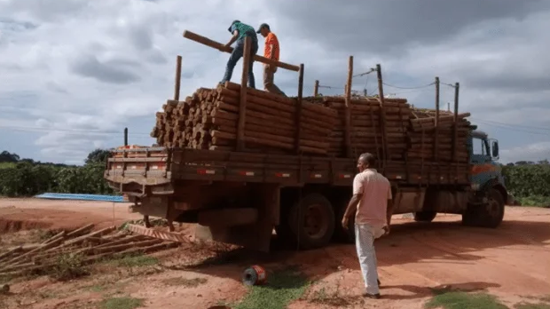 Reviving Life from Desolation to Prosperity: The Extraordinary Journey of a Brazilian Couple’s Reforestation Mission